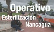 Operativo de esterilización en población Condores de Chile.