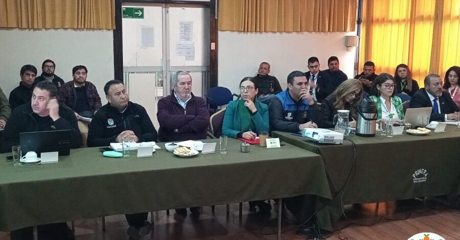 𝗦𝗘𝗦𝗜𝗢́𝗡 𝗗𝗘𝗟 𝗦𝗜𝗦𝗧𝗘𝗠𝗔 𝗧𝗔́𝗖𝗧𝗜𝗖𝗢 𝗗𝗘 𝗢𝗣𝗘𝗥𝗔𝗖𝗜𝗢𝗡𝗘𝗦 𝗣𝗢𝗟𝗜𝗖𝗜𝗔𝗟𝗘𝗦 (𝗦.𝗧.𝗢.𝗣)